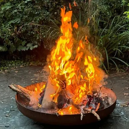 Kaliazo - Riverfront Alpaca Experience * Arnaud-Guilhem