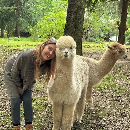 Kaliazo - Riverfront Alpaca Experience * Arnaud-Guilhem