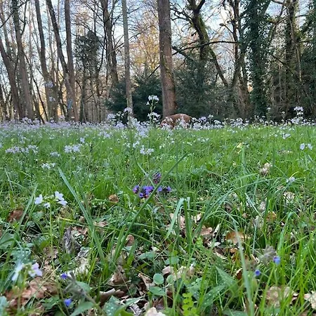 Hébergement de vacances Kaliazo - Riverfront Alpaca Experience *