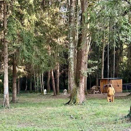 Kaliazo - Riverfront Alpaca Experience