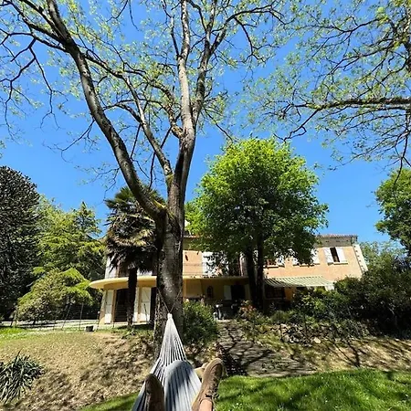 Kaliazo - Riverfront Alpaca Experience * Arnaud-Guilhem