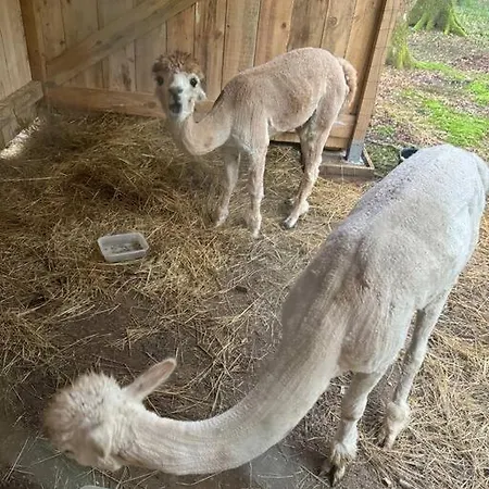 Kaliazo - Riverfront Alpaca Experience Hébergement de vacances *