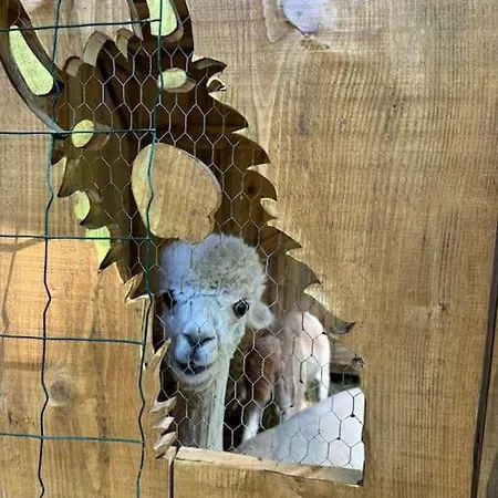 Kaliazo - Riverfront Alpaca Experience Arnaud-Guilhem