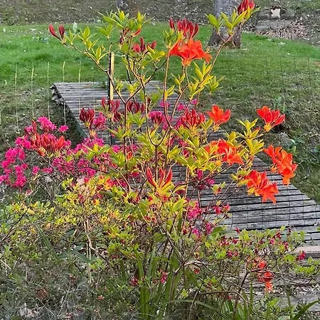 Hébergement de vacances Kaliazo - Riverfront Alpaca Experience *