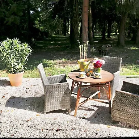 Kaliazo - Riverfront Alpaca Experience *