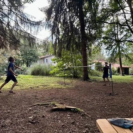 Kaliazo - Riverfront Alpaca Experience