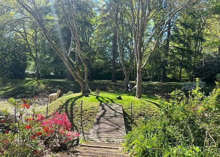 Vakantiehuis Kaliazo - Riverfront Alpaca Experience