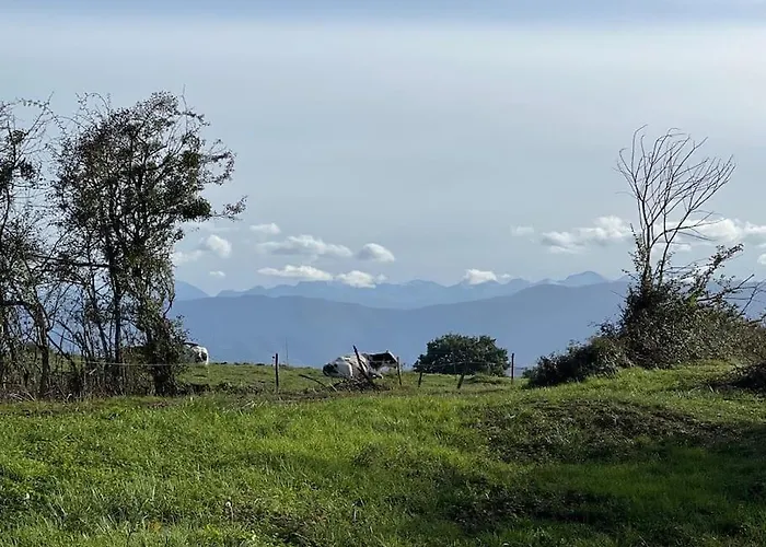 Kaliazo - Riverfront Alpaca Experience * Arnaud-Guilhem