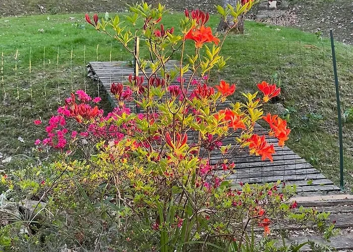 Vakantiehuis Kaliazo - Riverfront Alpaca Experience *